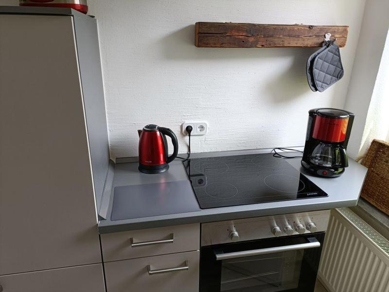 Apartment Luisa Эрфурт Экстерьер фото